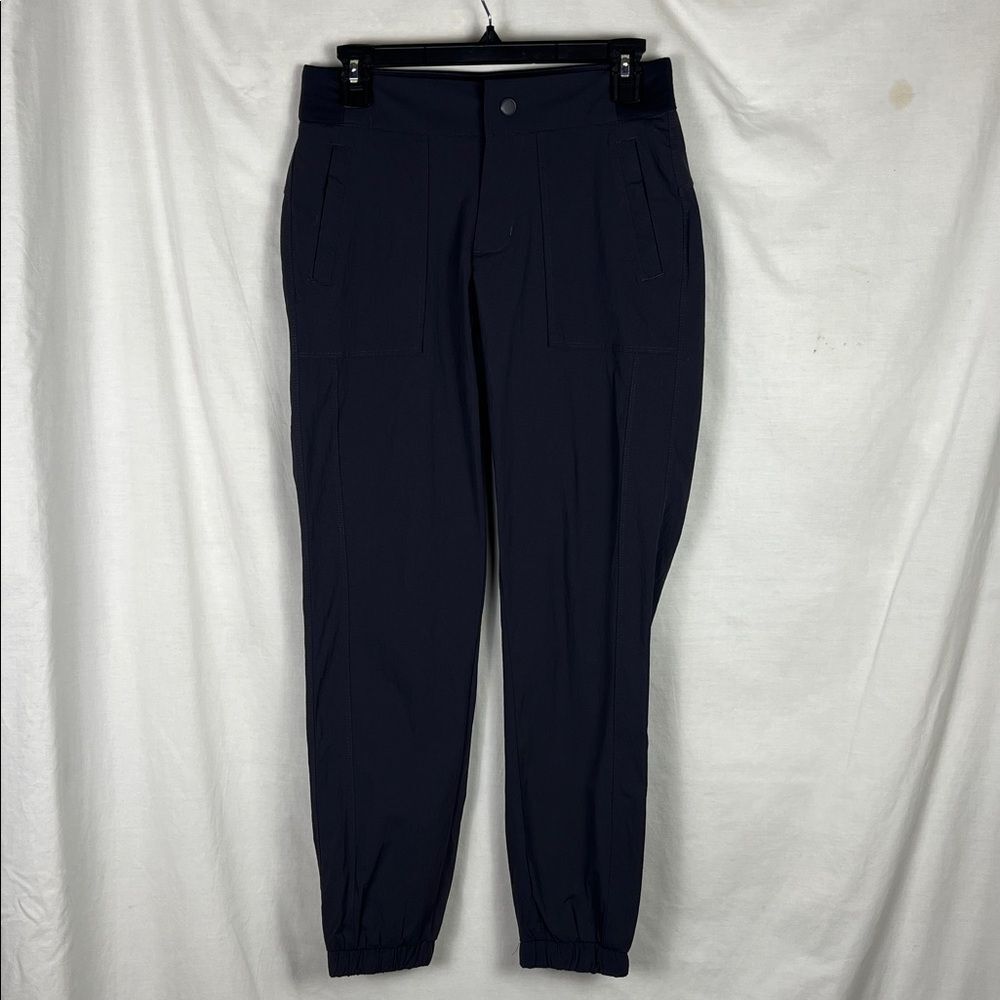 Charcoal Gray Vina Nylon Jogger Pants